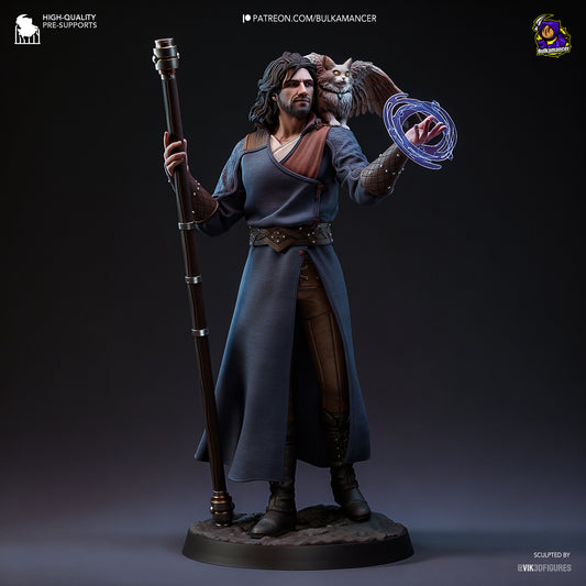 Goddess-Favored Wizard (Bulkamancer Sculpts)